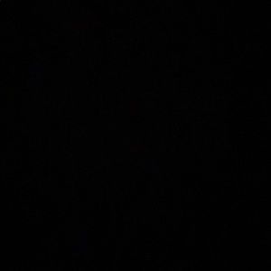 Meet your Posher, Camdyn